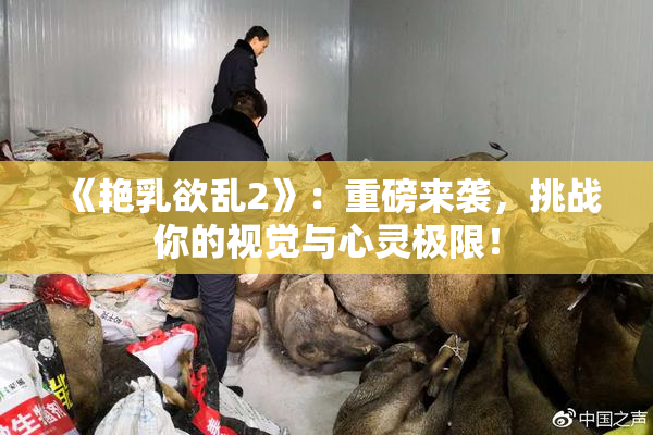 《艳乳欲乱2》：重磅来袭，挑战你的视觉与心灵极限！
