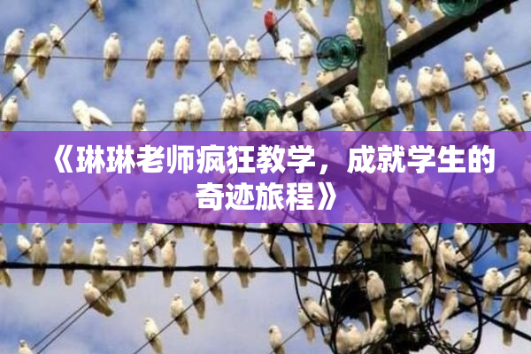 《琳琳老师疯狂教学，成就学生的奇迹旅程》