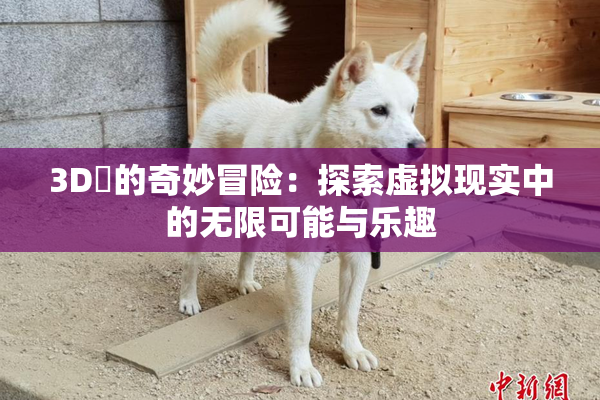 3D姉的奇妙冒险：探索虚拟现实中的无限可能与乐趣