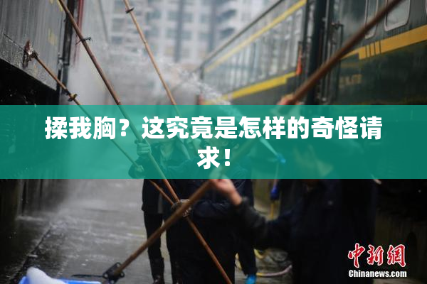揉我胸？这究竟是怎样的奇怪请求！