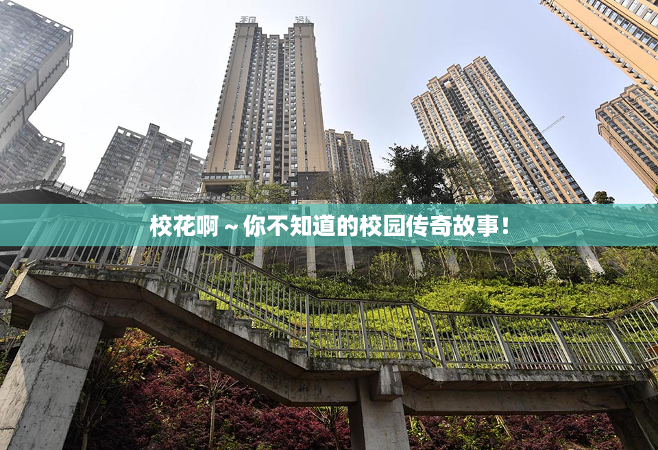 校花啊～你不知道的校园传奇故事！