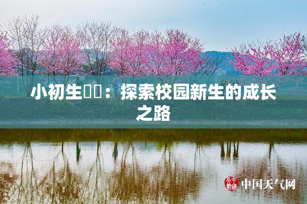 小初生❌‌：探索校园新生的成长之路