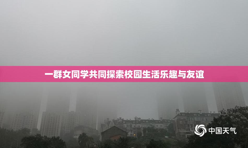 一群女同学共同探索校园生活乐趣与友谊