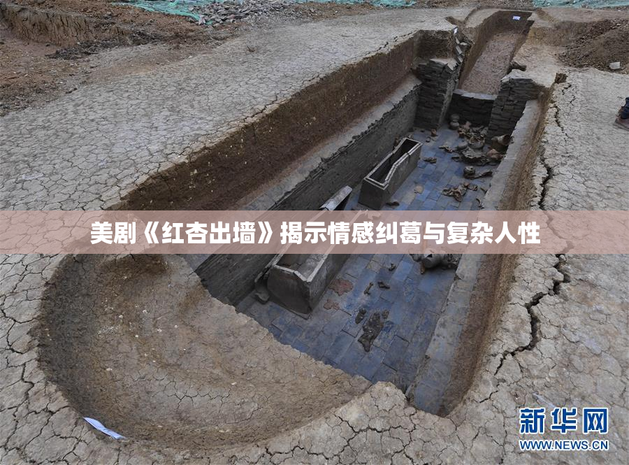 美剧《红杏出墙》揭示情感纠葛与复杂人性