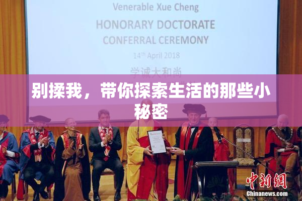 别揉我，带你探索生活的那些小秘密