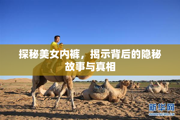 探秘美女内裤，揭示背后的隐秘故事与真相