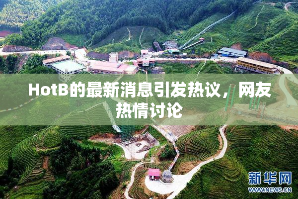 HotB的最新消息引发热议，网友热情讨论
