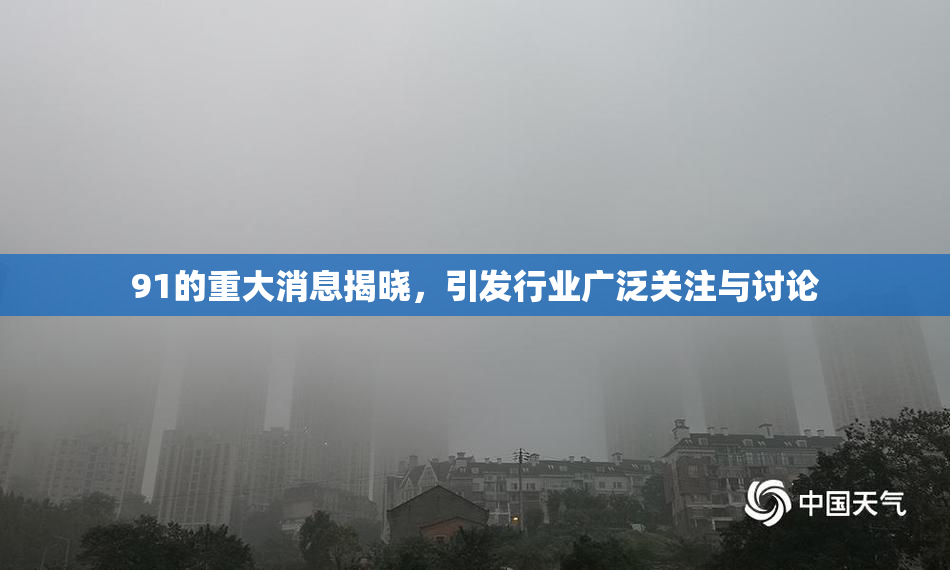 91的重大消息揭晓，引发行业广泛关注与讨论