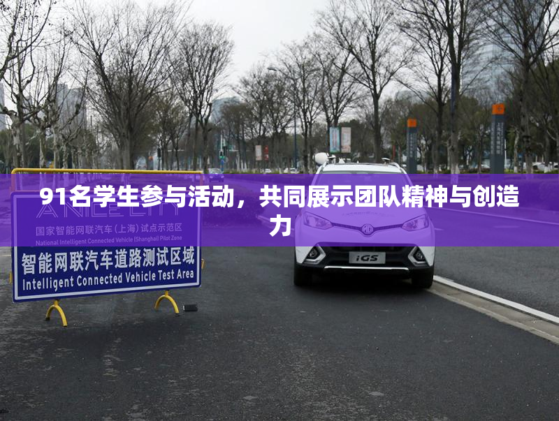 91名学生参与活动，共同展示团队精神与创造力