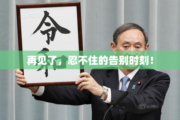 再见了，忍不住的告别时刻！