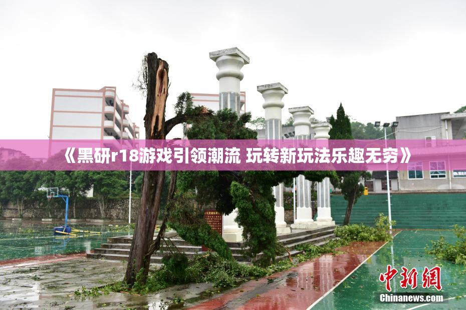 《黑研r18游戏引领潮流 玩转新玩法乐趣无穷》