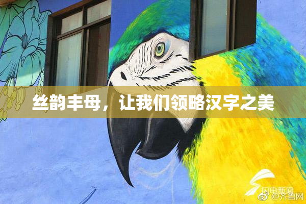 丝韵丰母，让我们领略汉字之美
