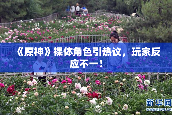 《原神》裸体角色引热议，玩家反应不一！