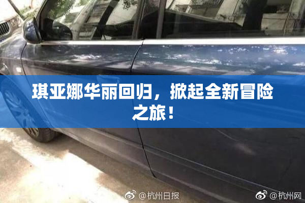 琪亚娜华丽回归，掀起全新冒险之旅！