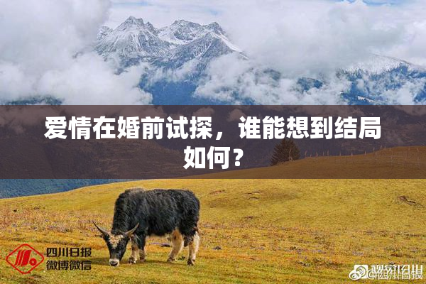爱情在婚前试探，谁能想到结局如何？