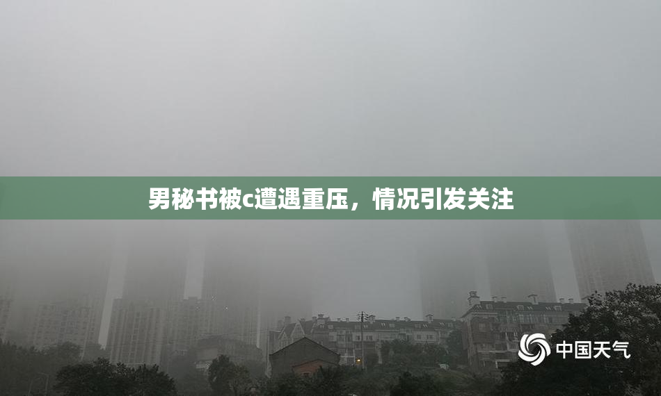 男秘书被c遭遇重压，情况引发关注