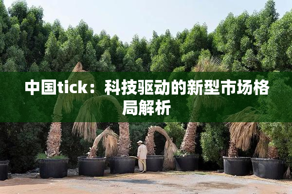 中国tick：科技驱动的新型市场格局解析