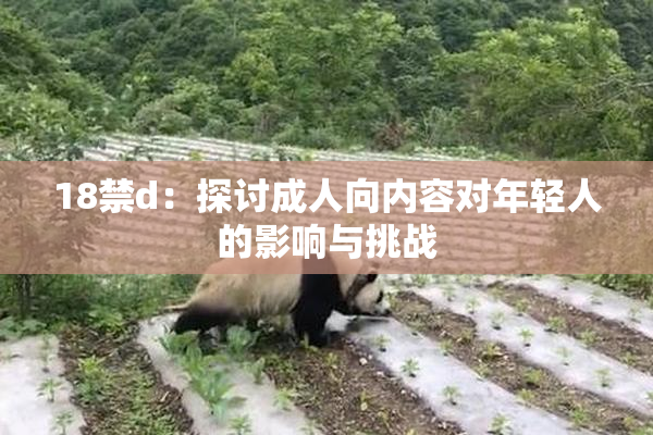 18禁d：探讨成人向内容对年轻人的影响与挑战