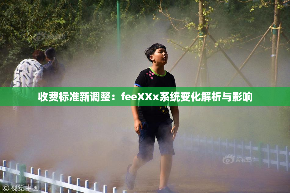 收费标准新调整：feeXXx系统变化解析与影响
