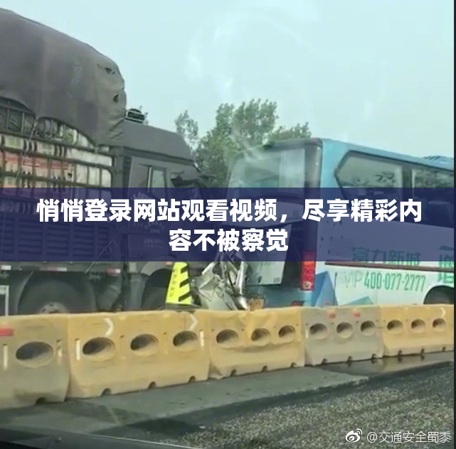 悄悄登录网站观看视频，尽享精彩内容不被察觉
