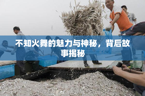 不知火舞的魅力与神秘，背后故事揭秘