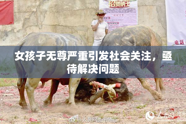 女孩子无尊严重引发社会关注，亟待解决问题