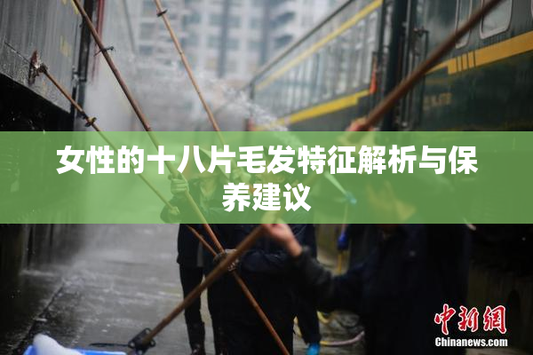 女性的十八片毛发特征解析与保养建议