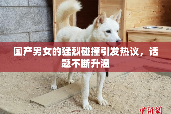 国产男女的猛烈碰撞引发热议，话题不断升温