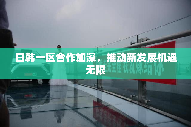 日韩一区合作加深，推动新发展机遇无限