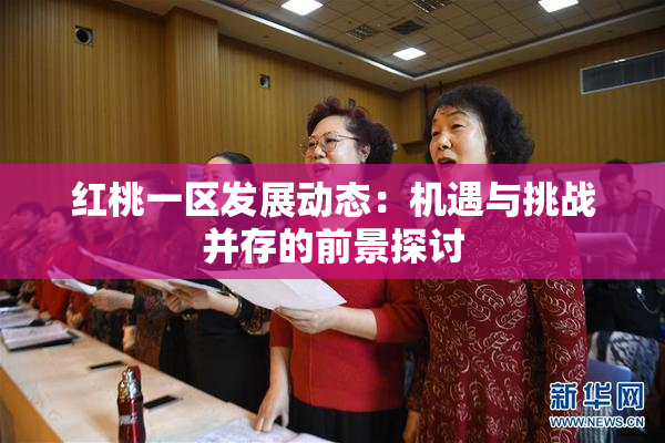 红桃一区发展动态：机遇与挑战并存的前景探讨