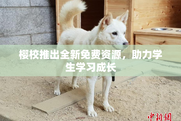 樱校推出全新免费资源，助力学生学习成长
