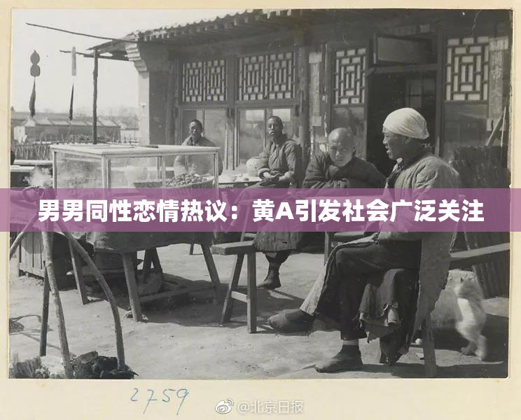 男男同性恋情热议：黄A引发社会广泛关注