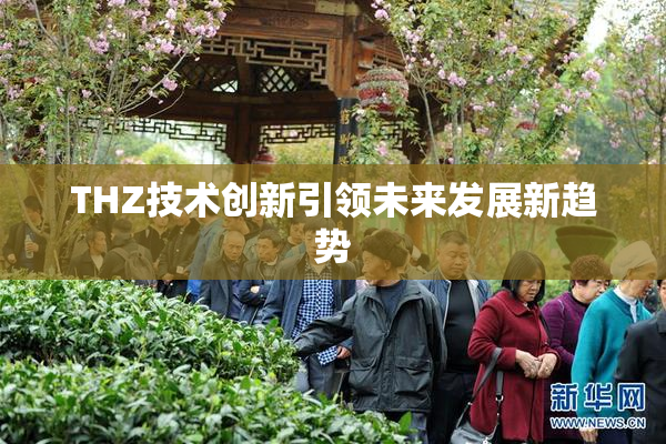THZ技术创新引领未来发展新趋势