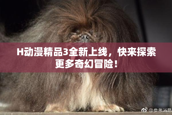 H动漫精品3全新上线，快来探索更多奇幻冒险！