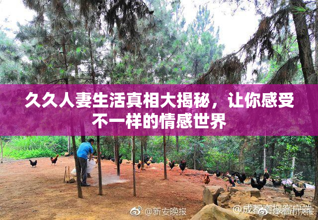 久久人妻生活真相大揭秘，让你感受不一样的情感世界