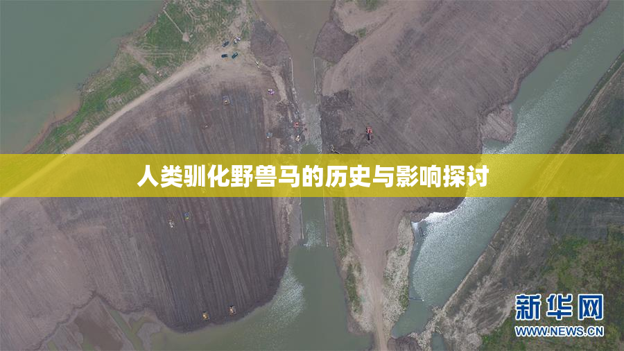 人类驯化野兽马的历史与影响探讨