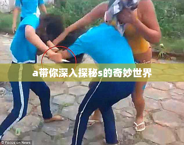 a带你深入探秘s的奇妙世界