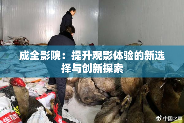 成全影院：提升观影体验的新选择与创新探索