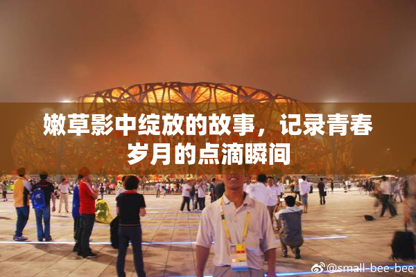 嫩草影中绽放的故事，记录青春岁月的点滴瞬间