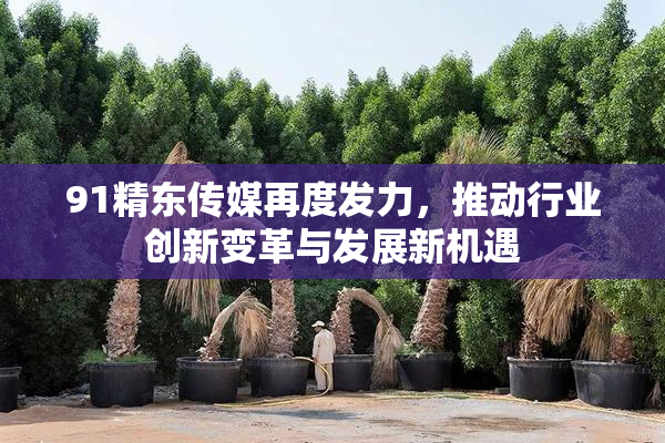 91精东传媒再度发力，推动行业创新变革与发展新机遇