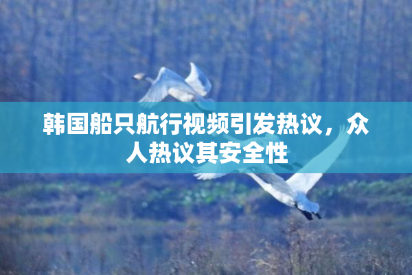 韩国船只航行视频引发热议，众人热议其安全性