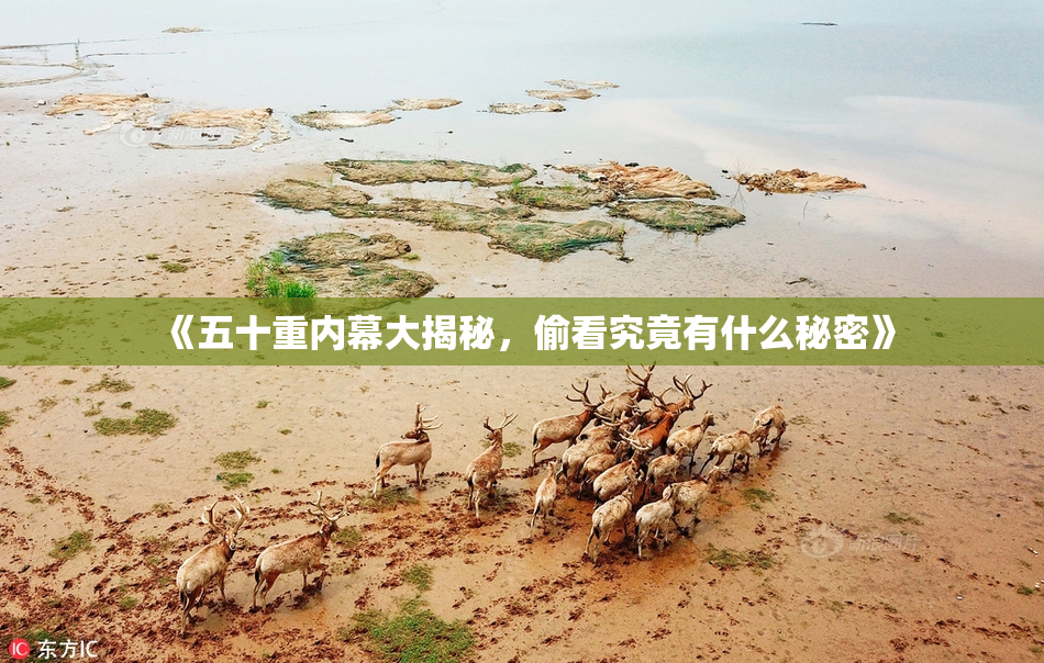 《五十重内幕大揭秘，偷看究竟有什么秘密》