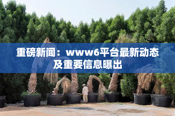 重磅新闻：www6平台最新动态及重要信息曝出