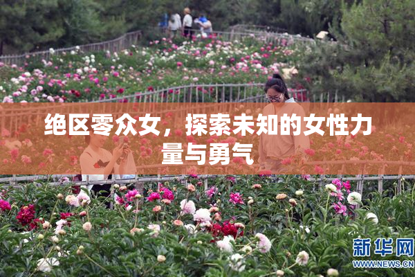 绝区零众女，探索未知的女性力量与勇气