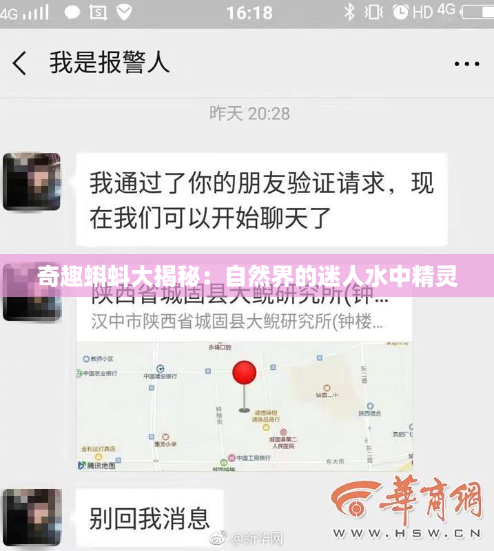 奇趣蝌蚪大揭秘：自然界的迷人水中精灵