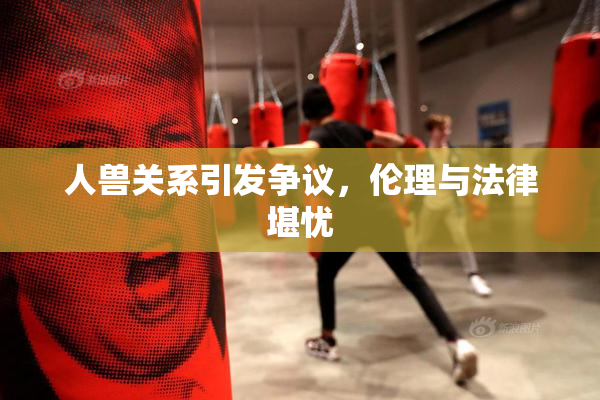 人兽关系引发争议，伦理与法律堪忧
