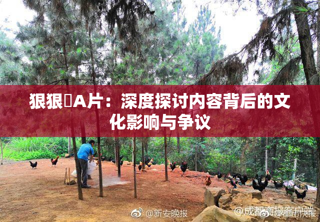 狠狠穞A片：深度探讨内容背后的文化影响与争议