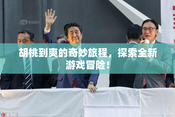 胡桃到爽的奇妙旅程，探索全新游戏冒险！