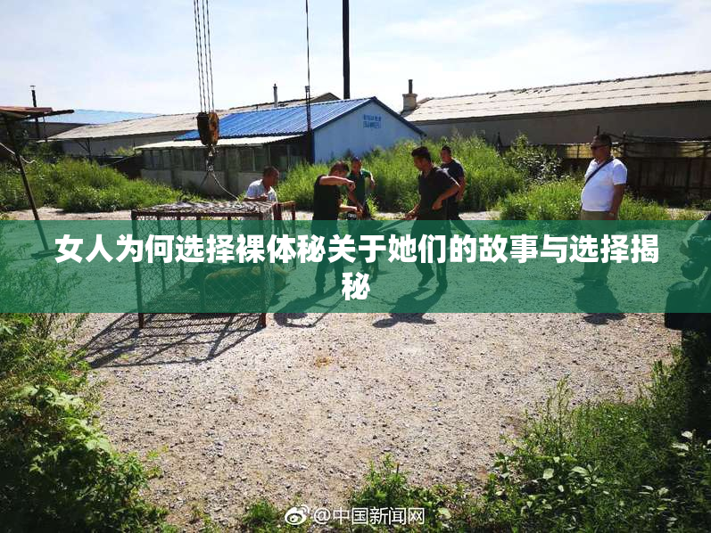 女人为何选择裸体秘关于她们的故事与选择揭秘