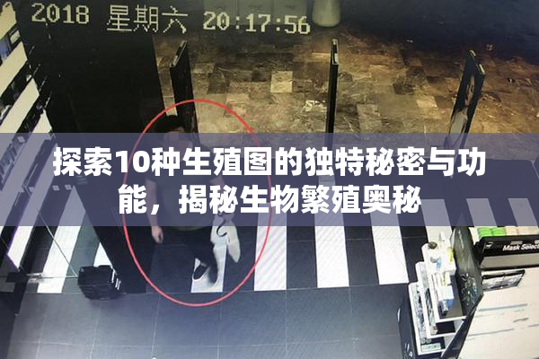 探索10种生殖图的独特秘密与功能，揭秘生物繁殖奥秘